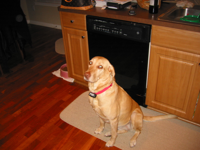2005/01 January/IMG_1510.JPG